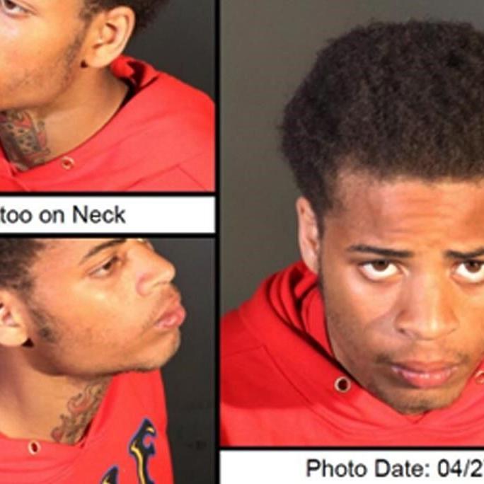 Man who shot Lady Gaga's dog walker gets 21 years in prison